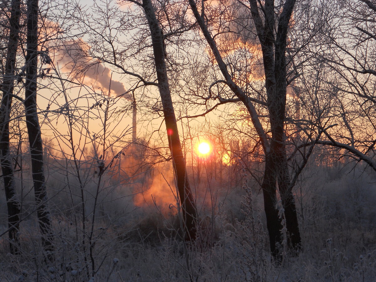 ÐÐ°ÑÑÐ¸Ð½ÐºÐ¸ Ð¿Ð¾ Ð·Ð°Ð¿ÑÐ¾ÑÑ Ð·Ð¸Ð¼Ð° Ð³Ð¾ÑÐ¾Ð´ ÑÐ¾Ð»Ð½ÑÐµ