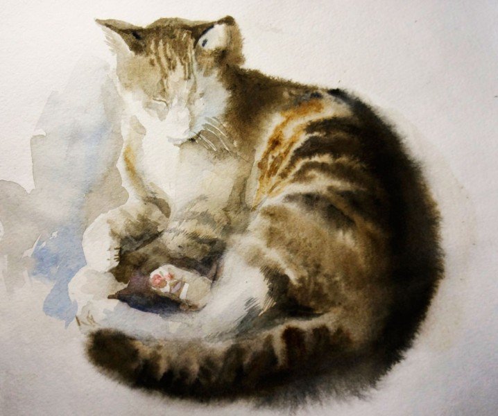 кот акварелью фото