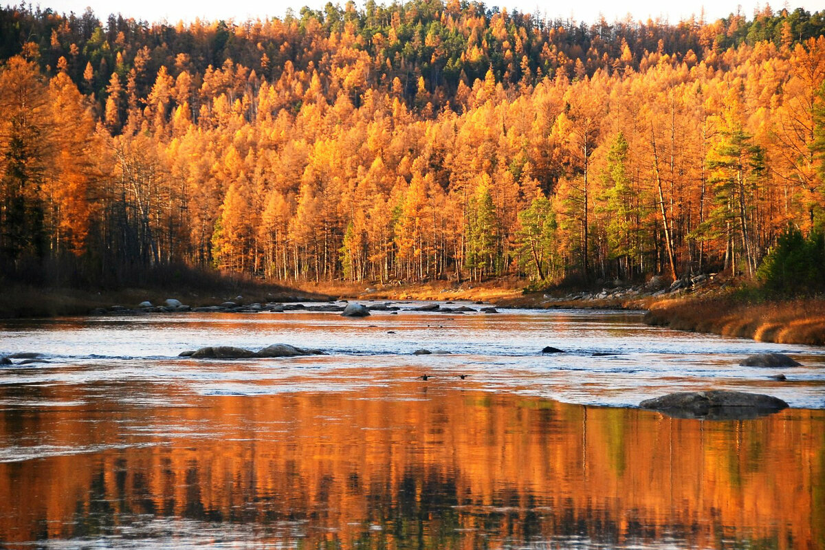 река витим фото