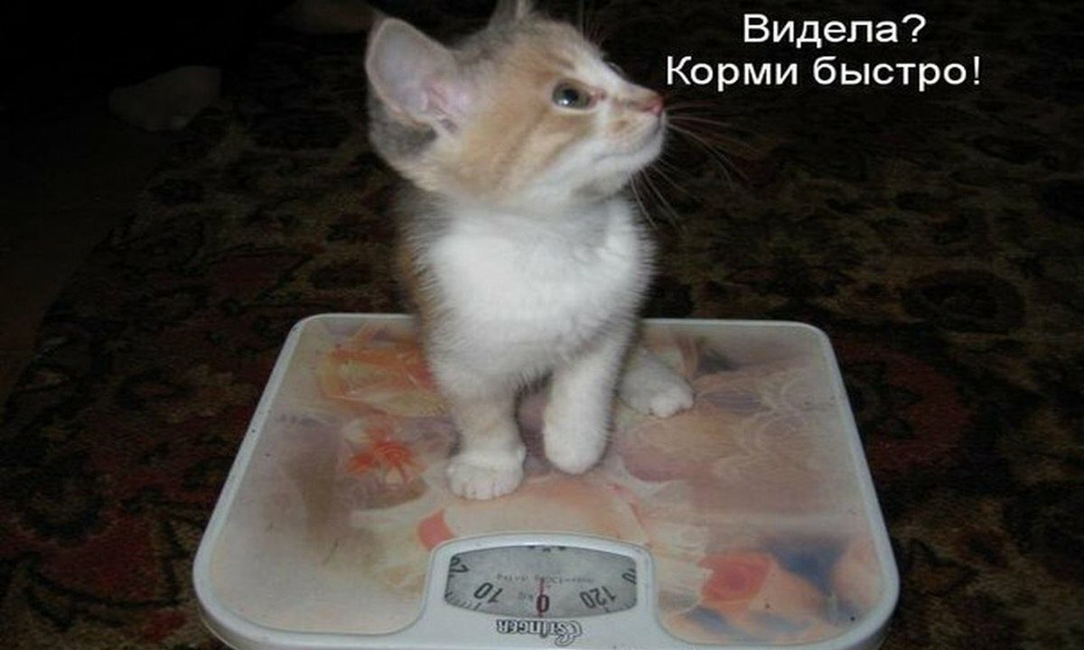 ������, �������� ������ � ��������� ��������