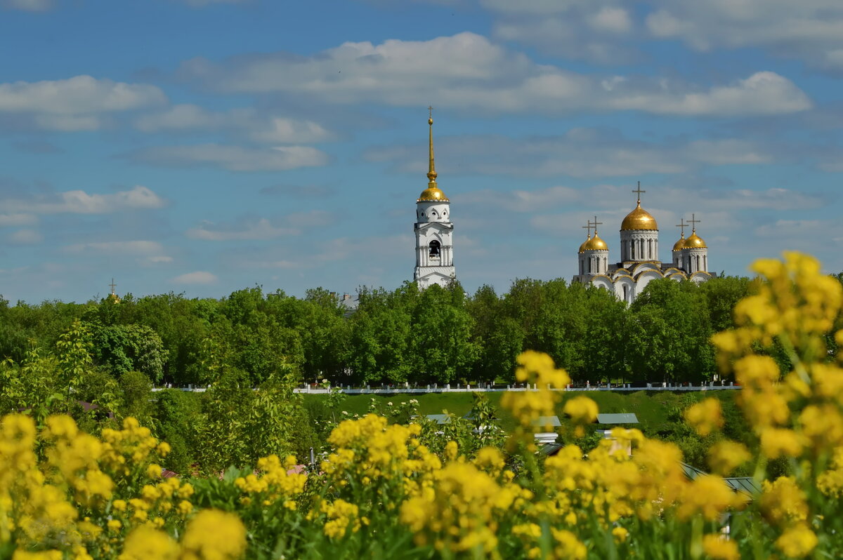 владимир май фото