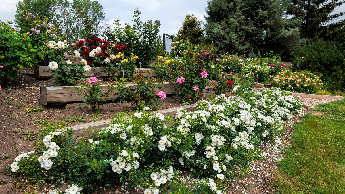 ÐŸÑ�Ð�Ð³Ð�. Ð�Ð¾Ñ�Ð�Ð½Ð¸Ñ�Ð�ÑÐºÐ¸Ð¹ ÑÐ�Ð´#Ñ�Ð�Ñ�Ð¸Ñ #Ð¿Ñ�Ð�Ð³Ð� #Ð�Ð¾Ñ�Ð�Ð½Ð¸Ñ�Ð�ÑÐºÐ¸Ð¹ #ÑÐ�Ð´ #Ð¿ÑƒÑ�Ð�ÑˆÐ�ÑÑ�Ð²Ð¸Ð�