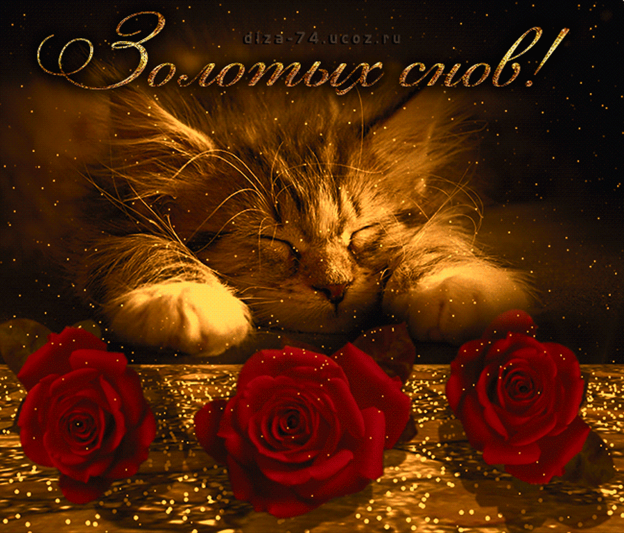 ����� �������� ������� ����, �������� ����