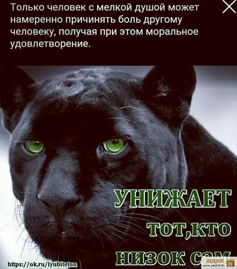 ������� �� ��������� � ���������