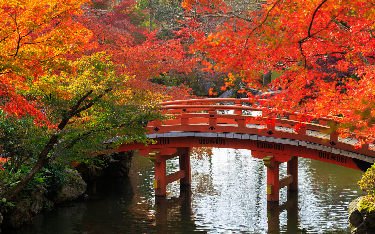 осень япония фото