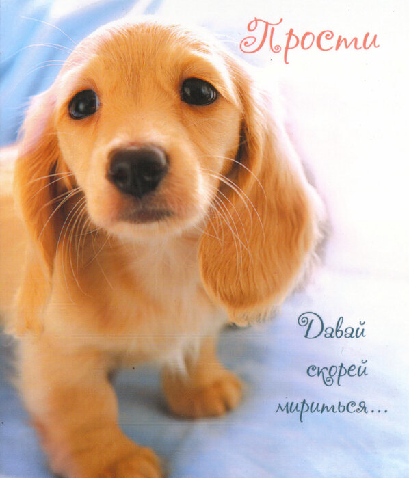 Картинки с надписью не злись на меня