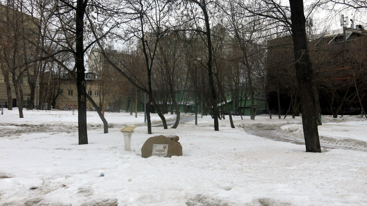 воронеж парк фото