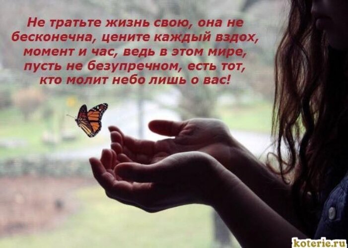 �������� ��������, �������� � ��������� ������� � �����