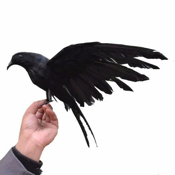 crow black фото