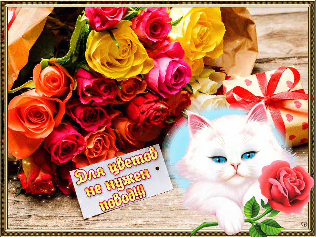 �������� ��� ������ ��������