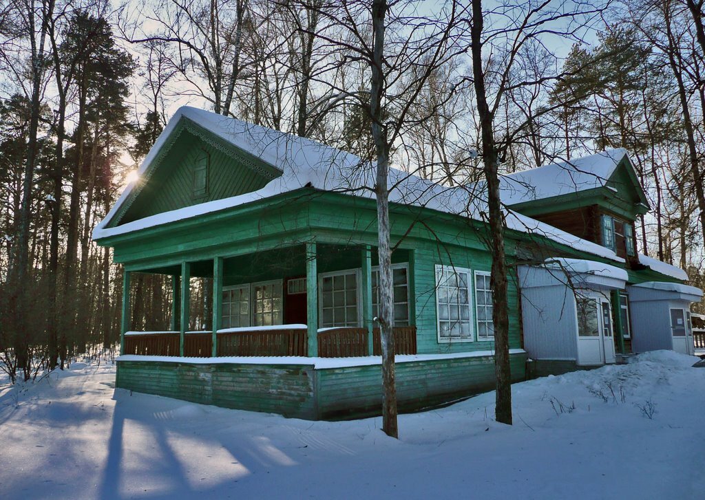 дача купца барабанщикова сарапул фото