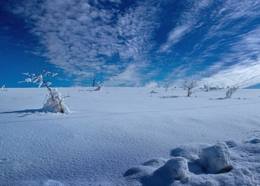 зима снег фото