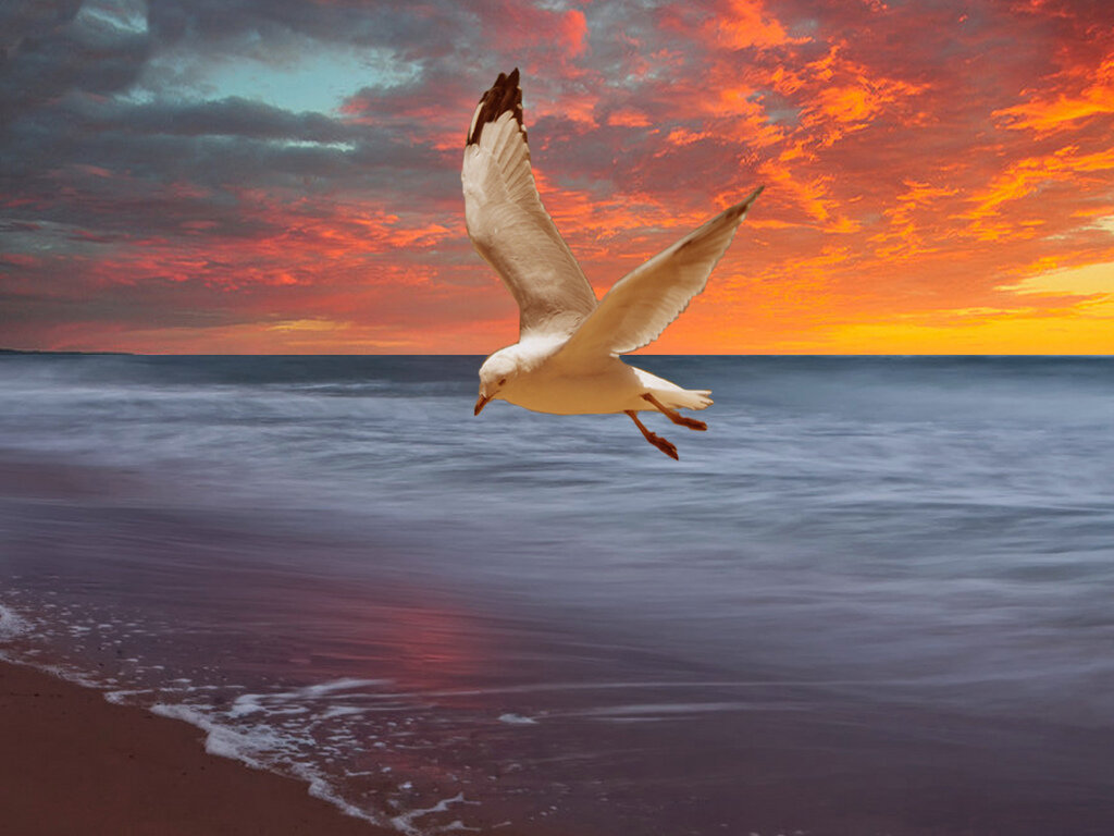 ����� � ������ �������� ��� �����, ����