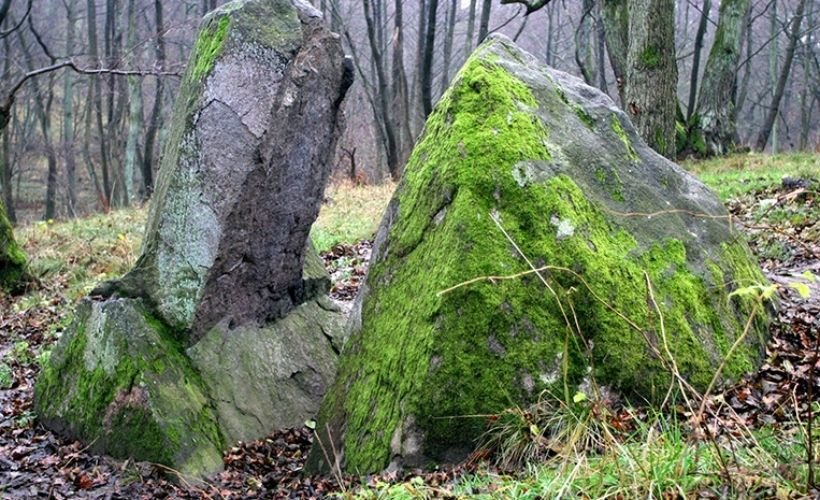 камень лжи в пионерском фото