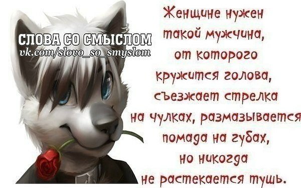 ���� ��������, ���������� �������� � ��������� �� ������� �����