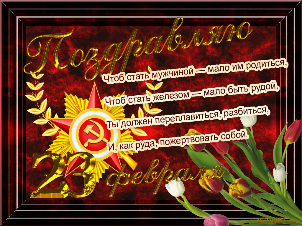 ������� ������, ������������� �������� � 23 ������� ��������