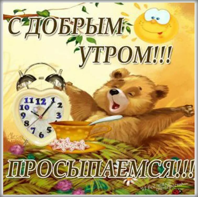 ������ ���� ��� ���� ���������� ��������, �������� ��������