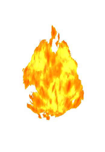 ����� ���� ��� ����, �������� ���� ����