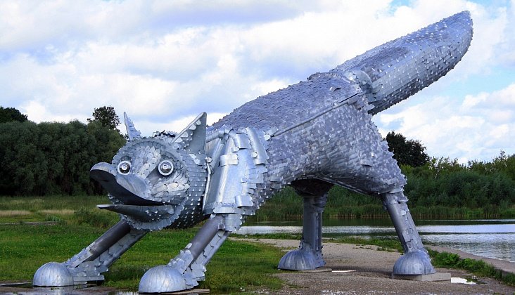 лиса шауляй фото