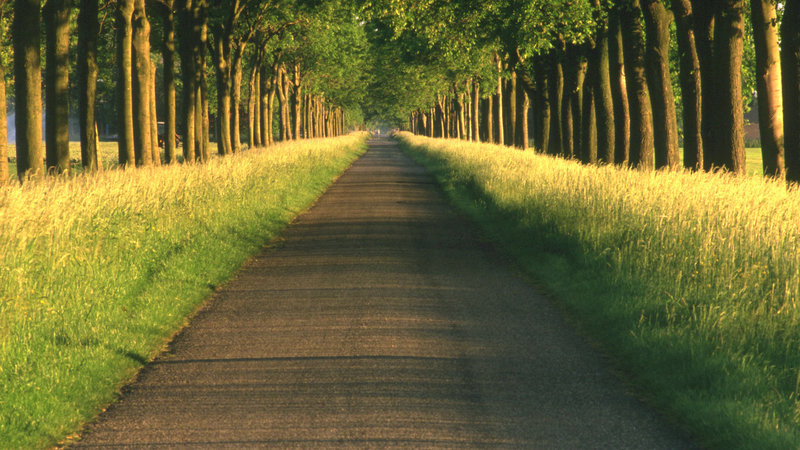 Красивые Обои На Рабочий Стол