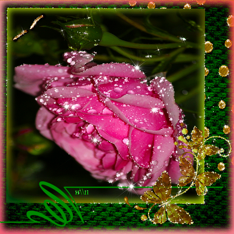 �������� ��������� � ��������