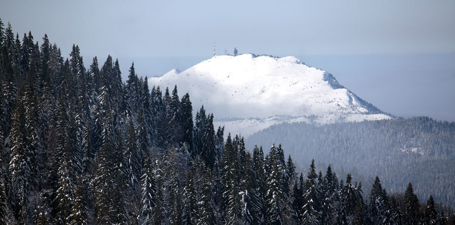 горная шория гора мустаг фото