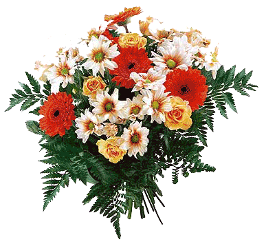 #ÑÐ²ÐµÑÑ