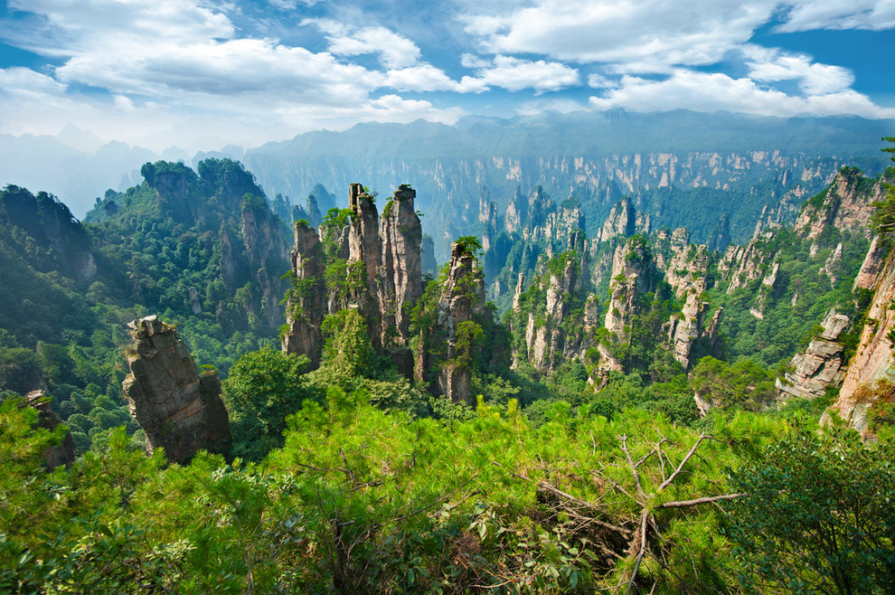 чжанцзяцзе национальный лесной парк фото