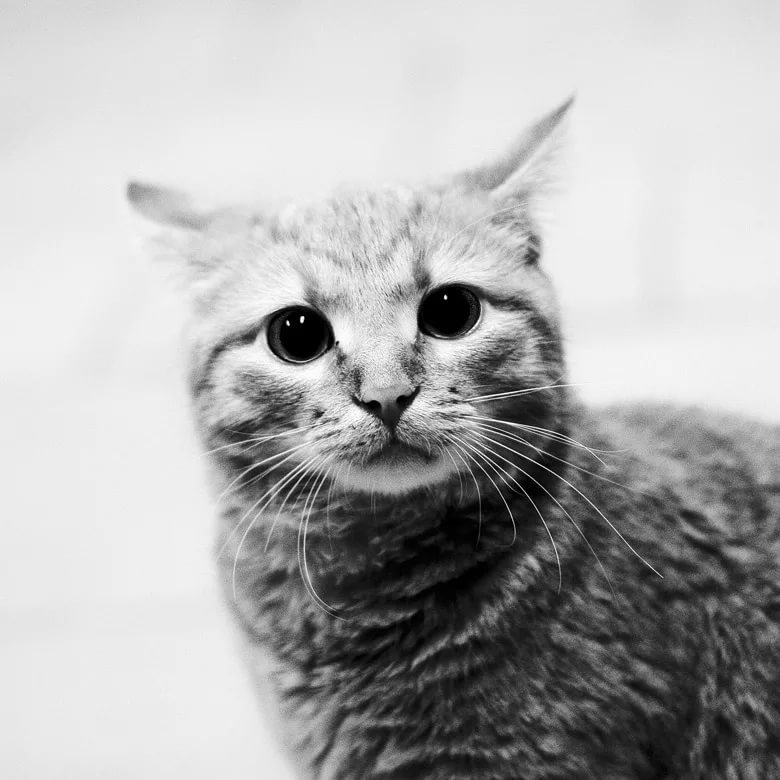 �������� � �������� �� ���� �� ���������