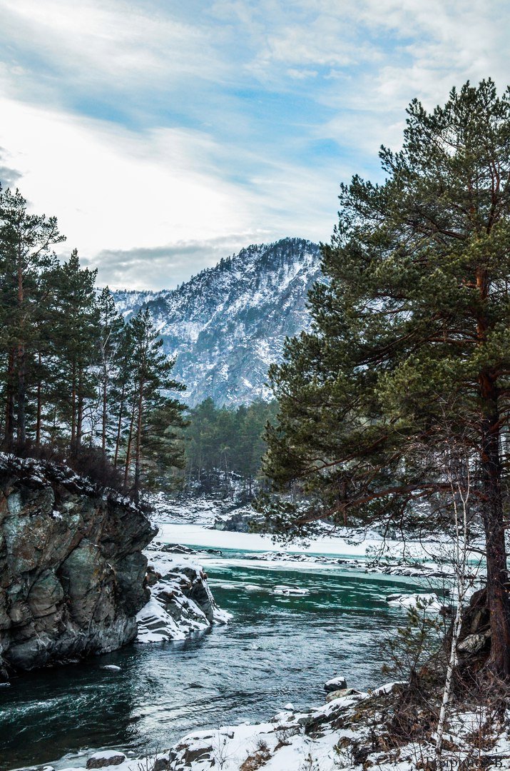чемал горный алтай андрей яковлев фото