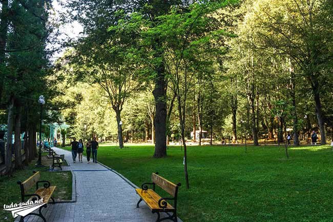 рогожинский парк тула фото
