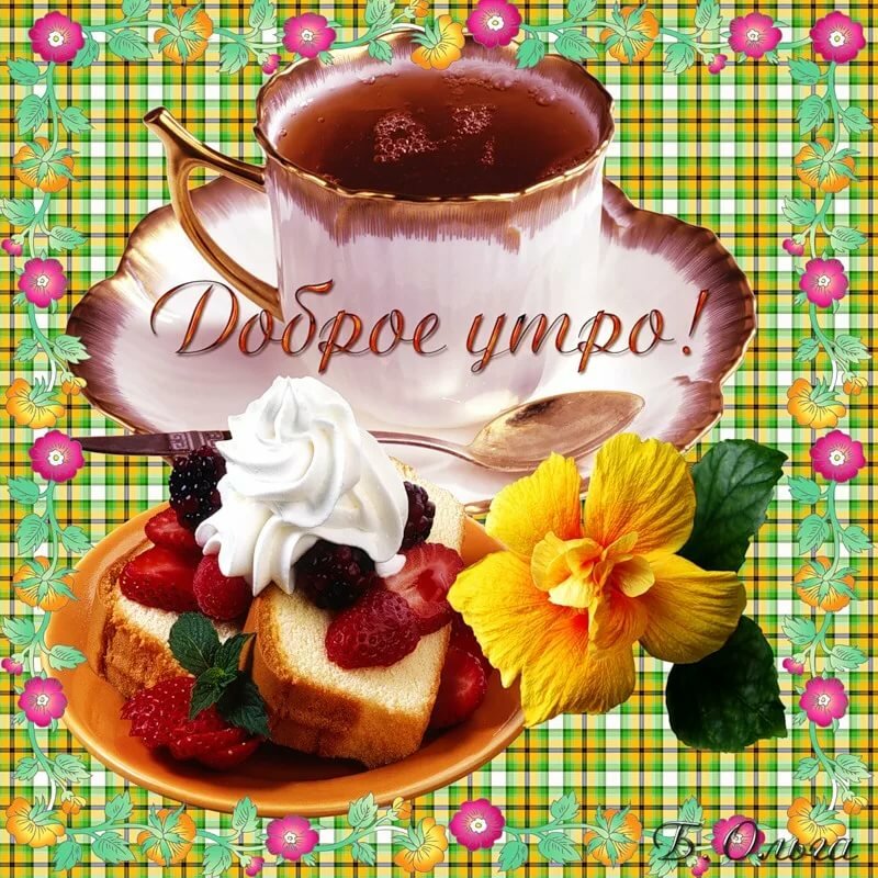 ������ ���� ��� ���� ���������� ��������