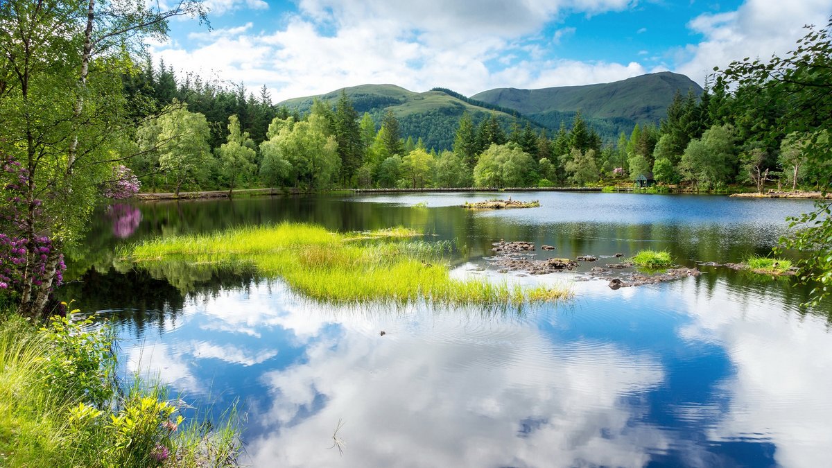 озеро уайт лейк фото