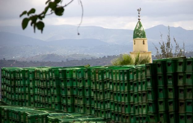 хейнекен бутылки стена фото