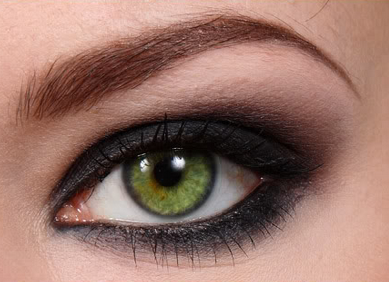 ����� ������� ����� ���� ������� ���� ����� ����������