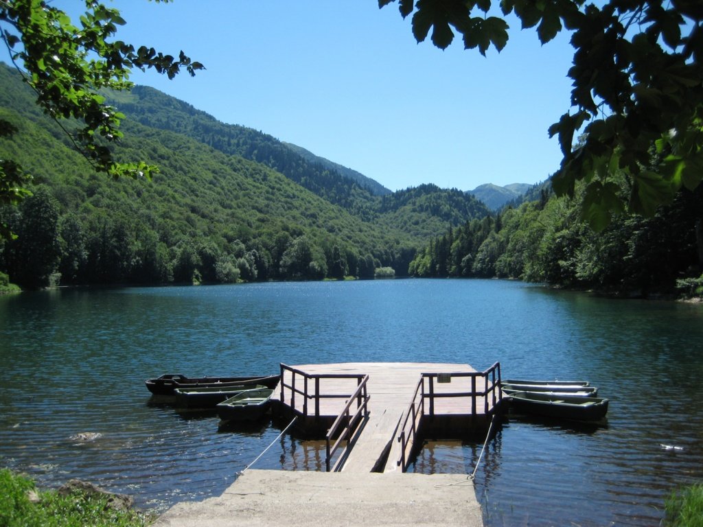 черногория национальный парк биоградская гора фото