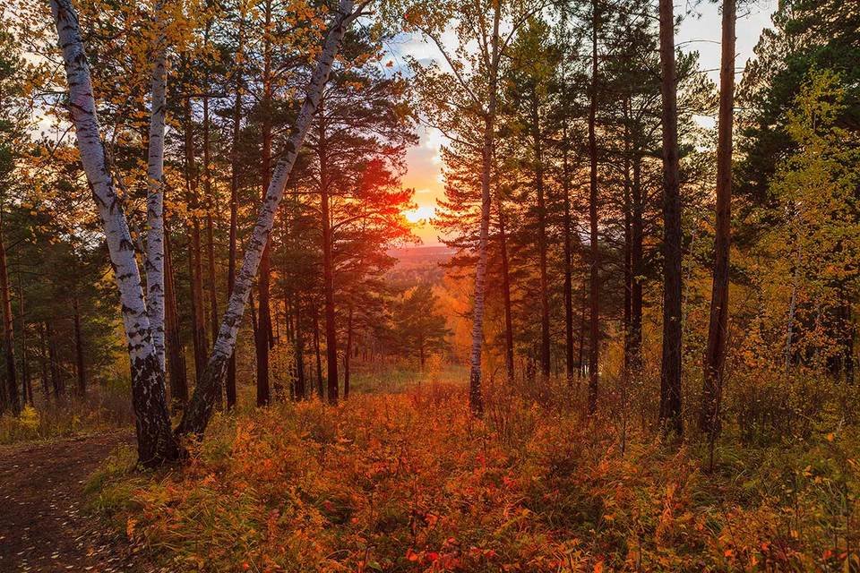 мещера осень фото