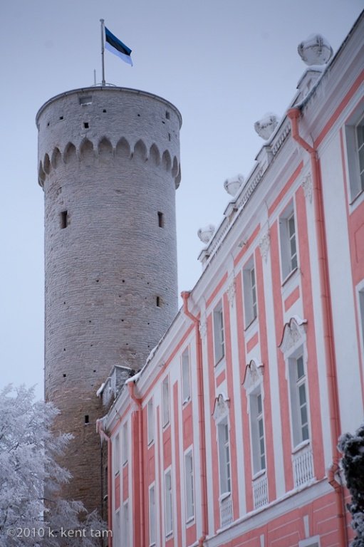 башня длинный герман в таллине фото
