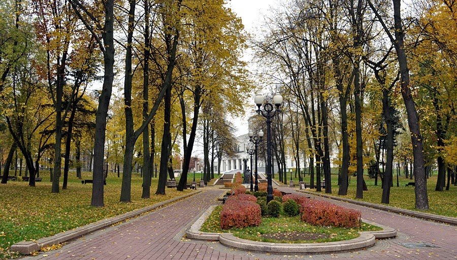 куракина дача парк в санкт петербурге фото