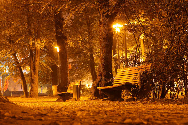вечерний осенний парк фото