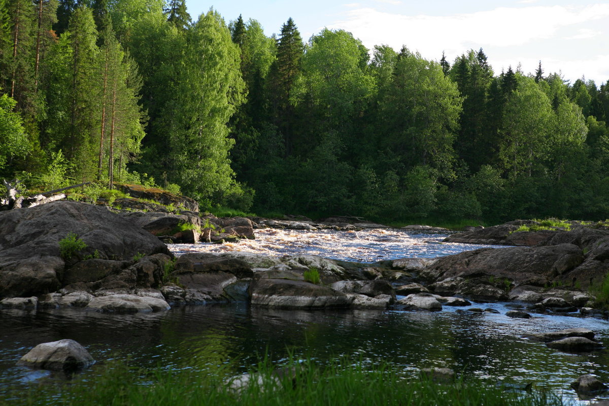 река растас карелия фото