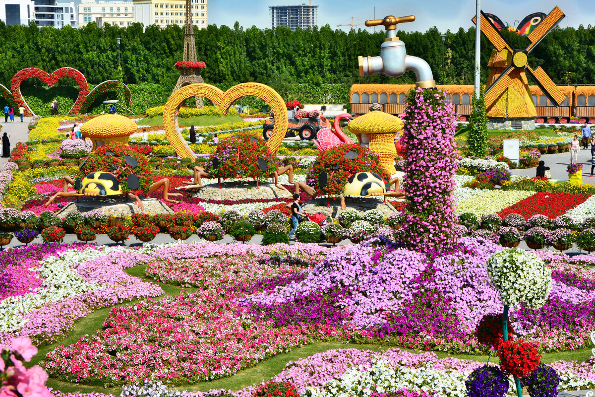 dubai miracle garden картинки фото