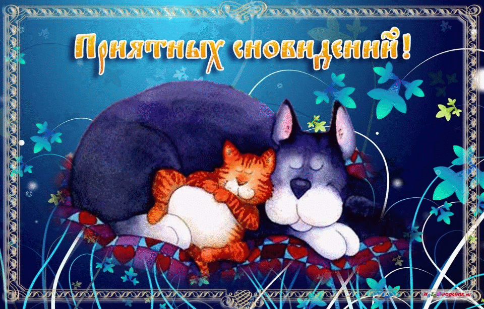 Смешные открытки с пожеланиями спокойной ночи