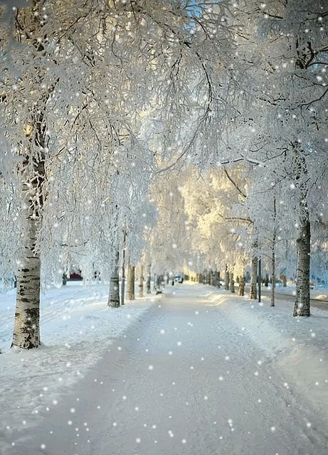 красивая зима фото