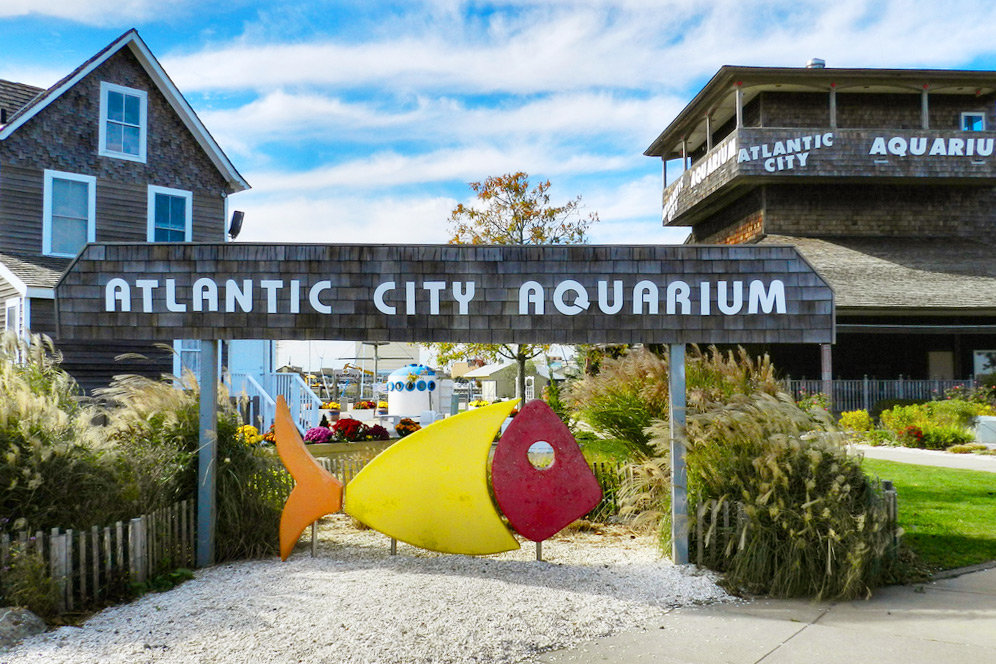 atlantic city aquarium фото
