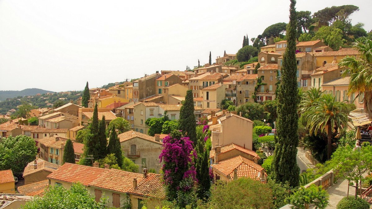 bormes les mimosas франция фото