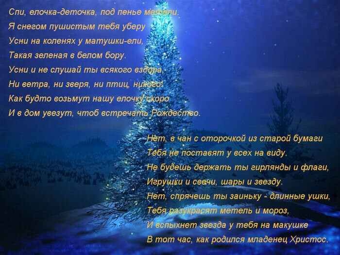 стихи фото