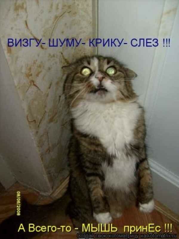 Смешные картинки с надписями до слез про людей и технику &amp;mdash; rabotapoderevu.ru