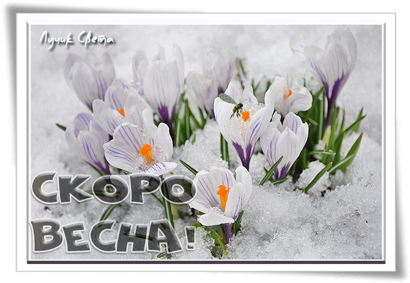 ����� �����! - ����/Winter - ������������ �������� - �������� - ���  ��������� �������� gif
