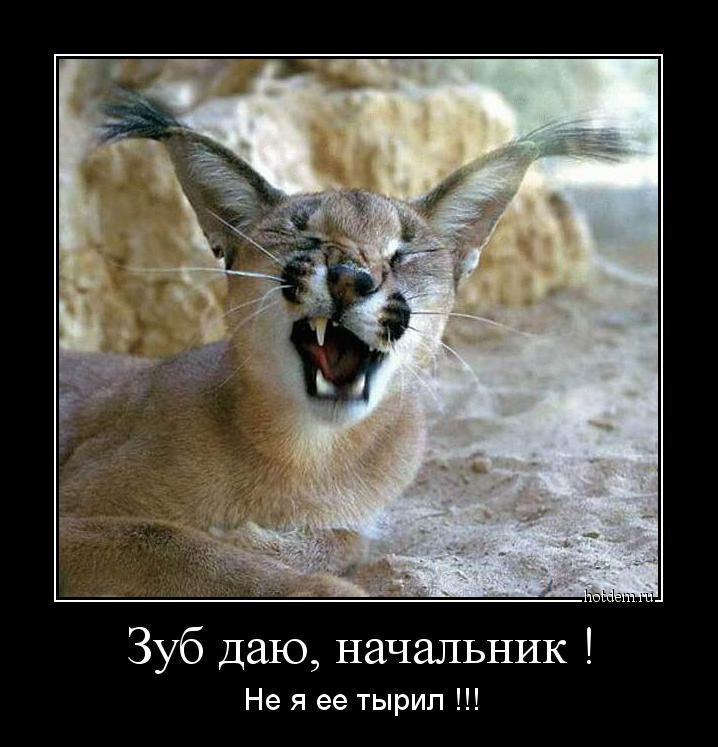 ������� �������� ��� ���, ���� �������� �����